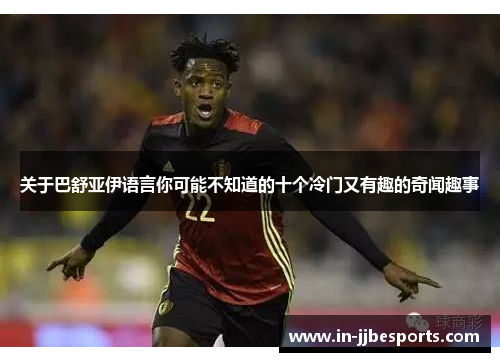 关于巴舒亚伊语言你可能不知道的十个冷门又有趣的奇闻趣事 关于巴舒亚伊语言你可能不知道的十个冷门又有趣的奇闻趣事